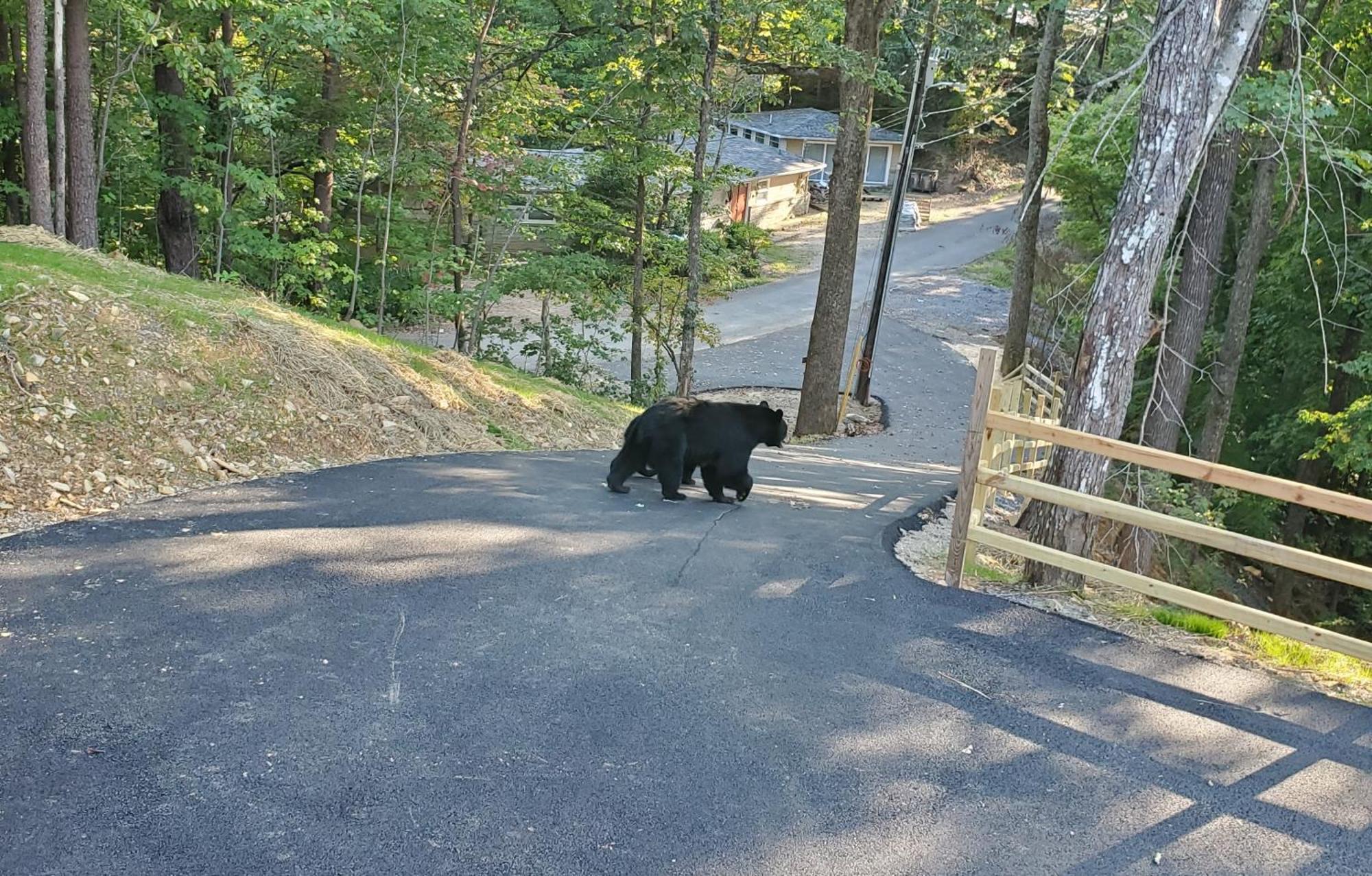 Vila Can'T "Bear" To Leave Sevierville Exteriér fotografie